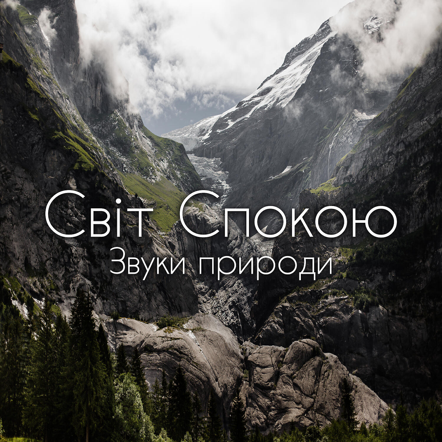Calming Music Sanctuary - Зоряна ніч