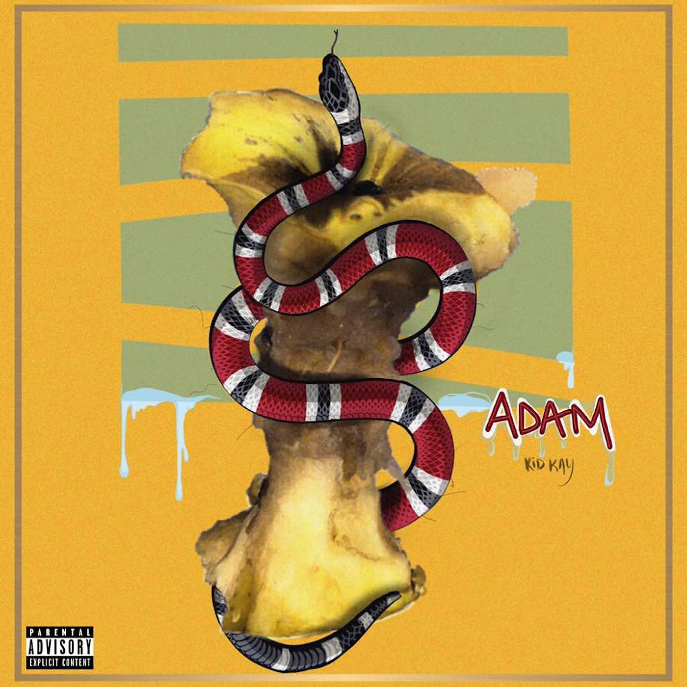 Постер альбома ADAM