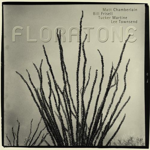 Постер альбома Floratone
