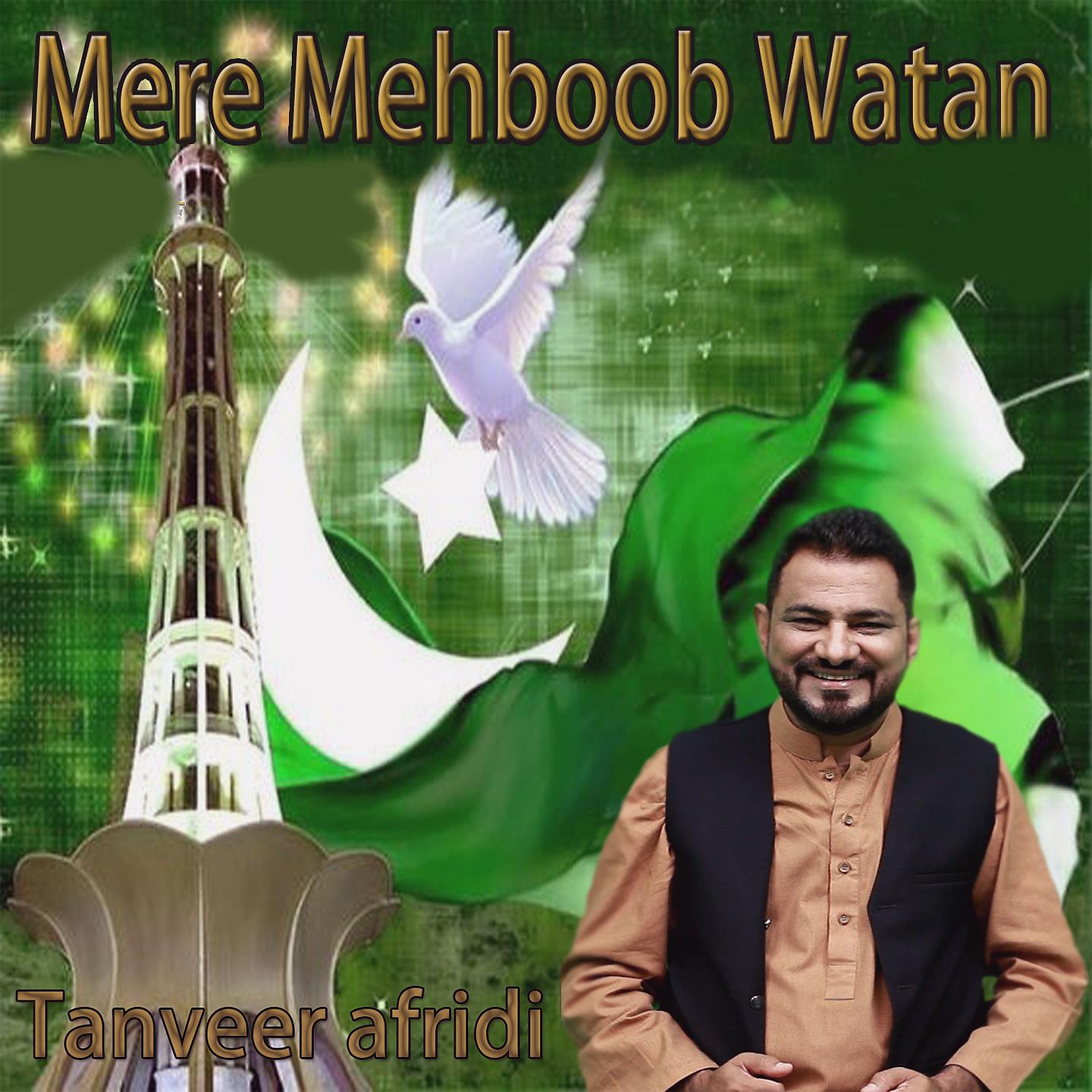 Постер альбома Mere Mehboob Watan