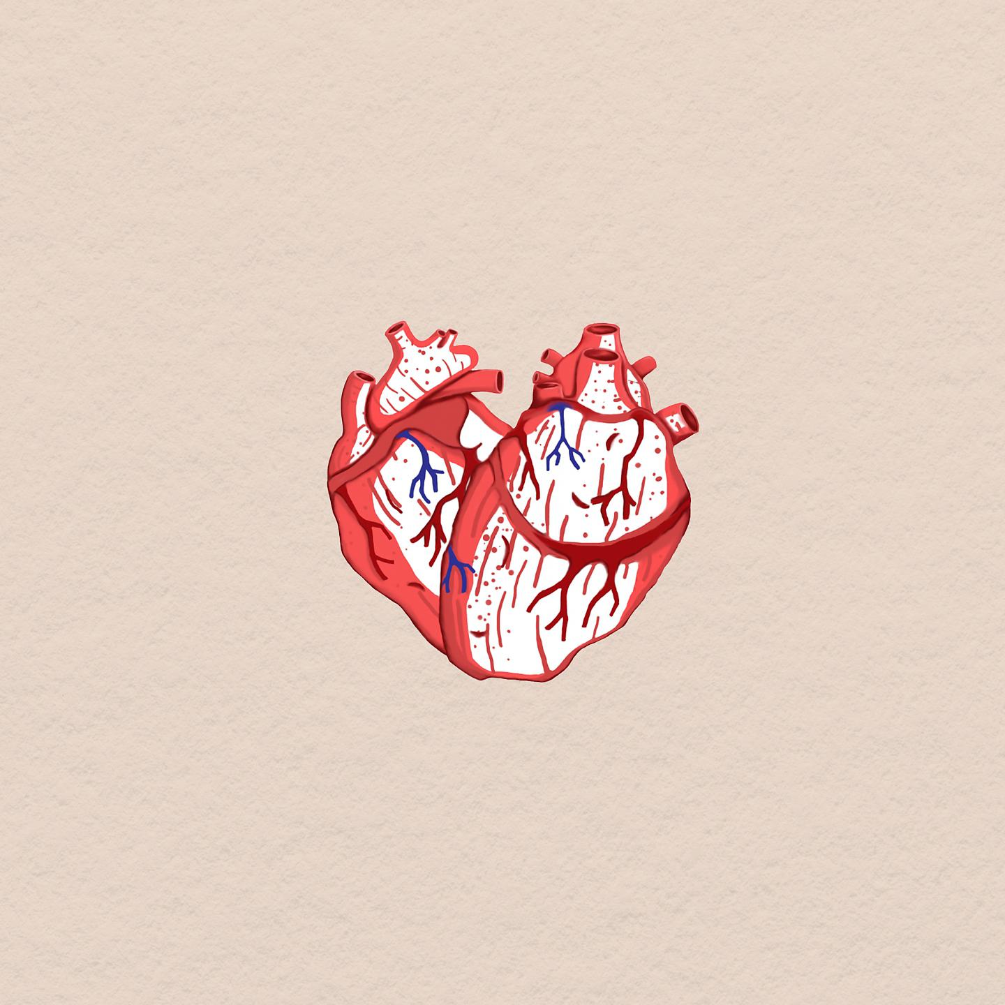Постер альбома Hearts Release