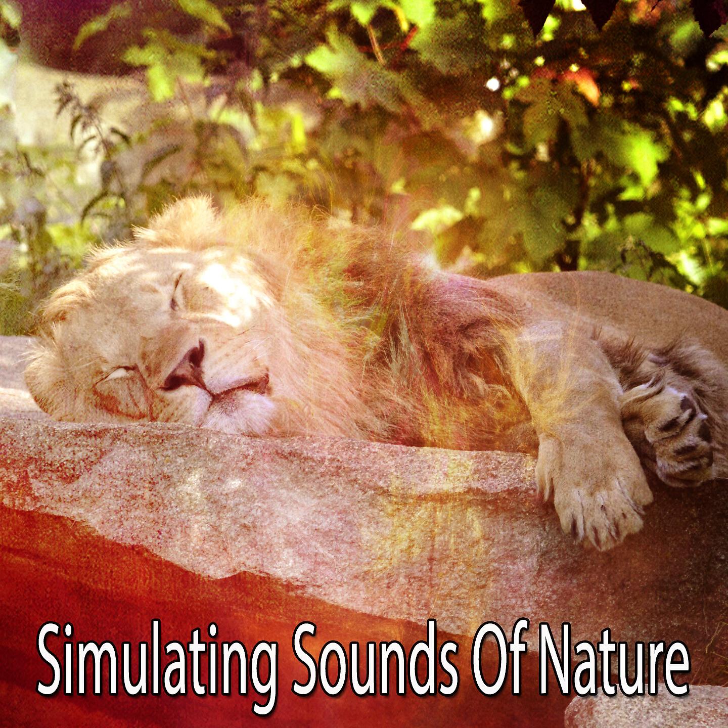 Relaxing With Sounds of Nature and Spa Music Natural White Noise Sound Therapy - Zen Time