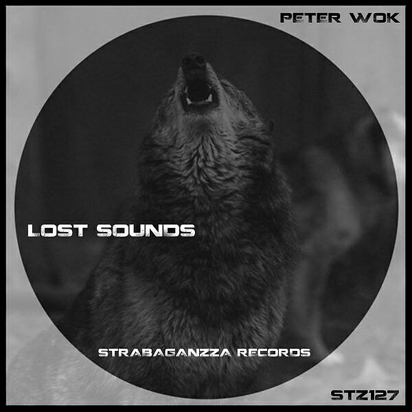 Peter Wok - Lost Sounds (Original Mix)