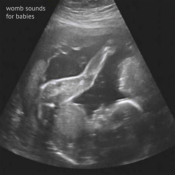 Постер альбома Womb Sounds For Babies