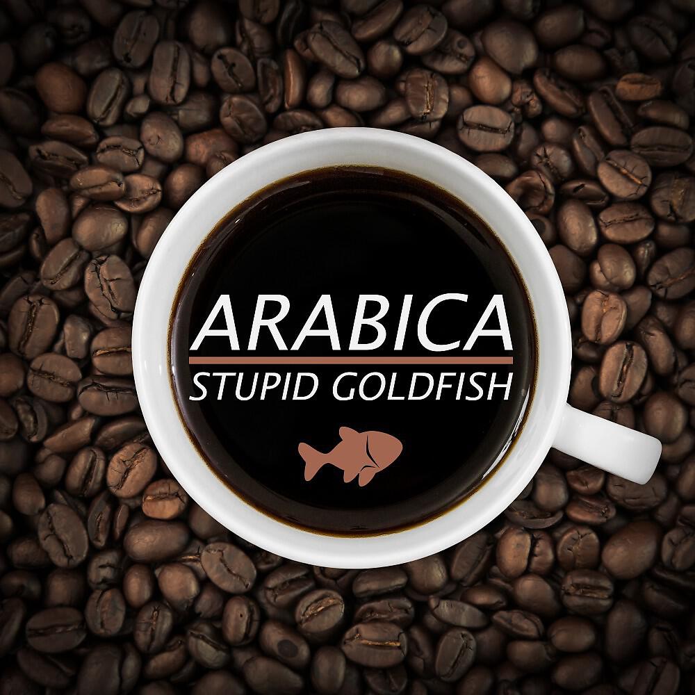 Stupid Goldfish - Arabica (Extended Mix)