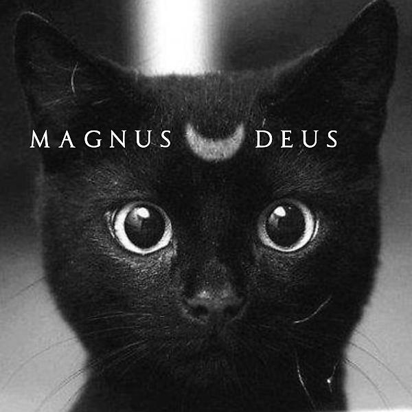 Постер альбома Deus Magnus
