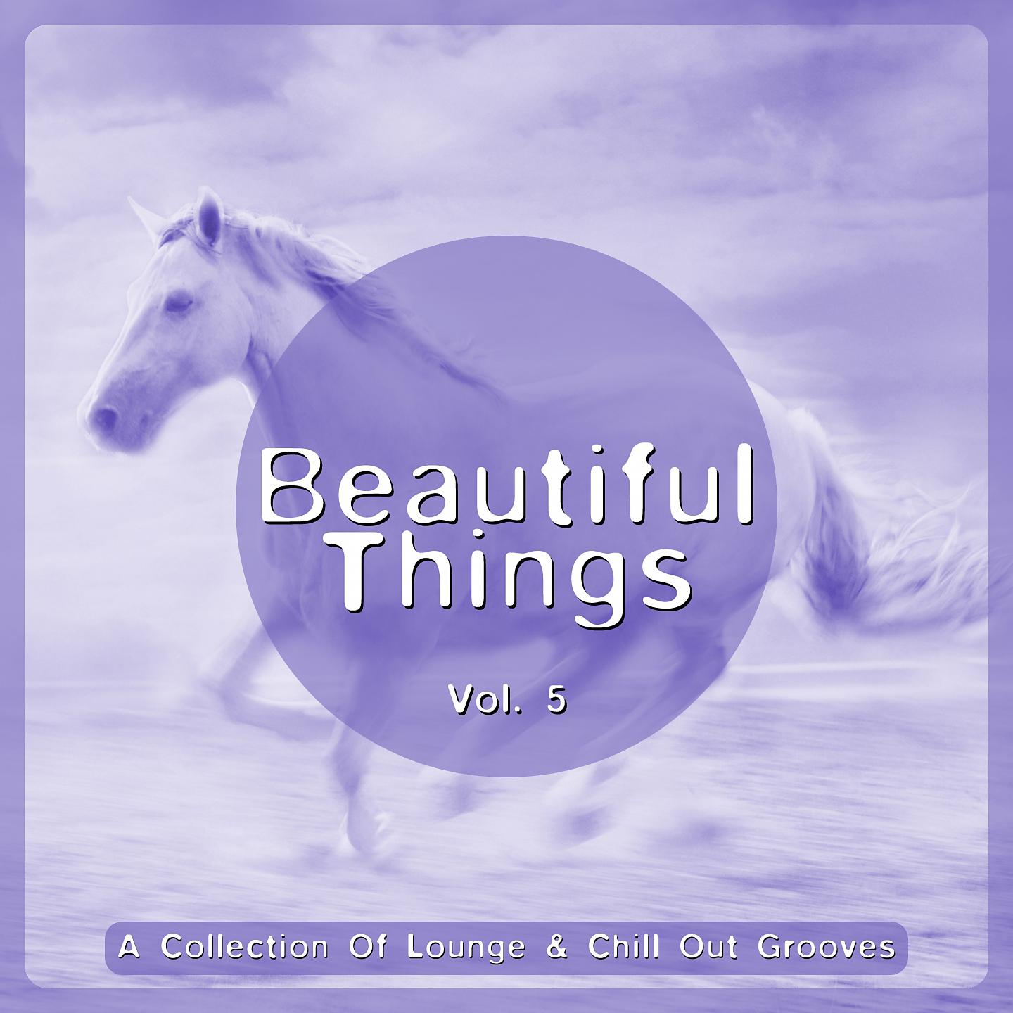 Постер альбома Beautiful Things, Vol. 5 (A Collection Of Lounge & Chill Out Grooves)