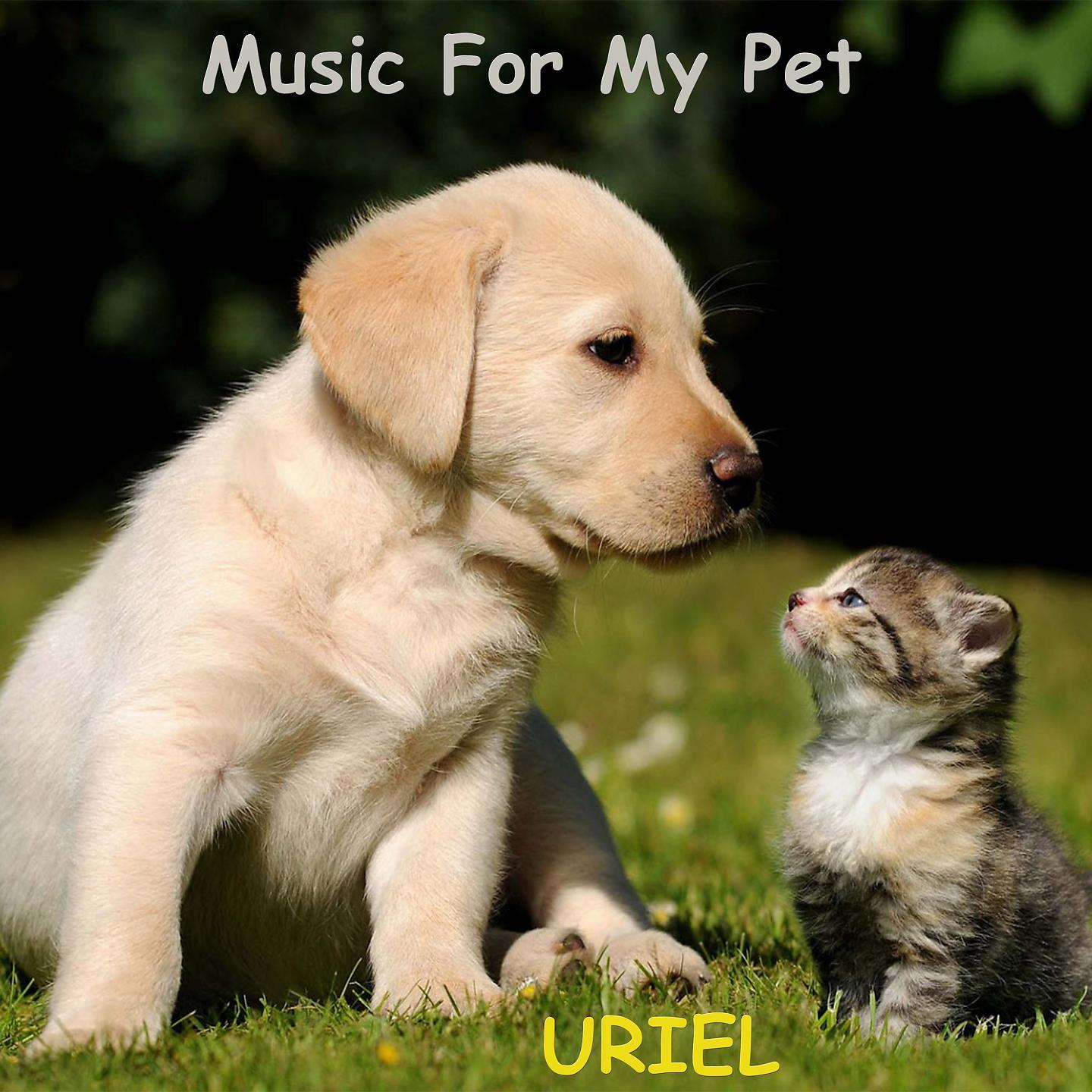 Постер альбома Music For My Pet