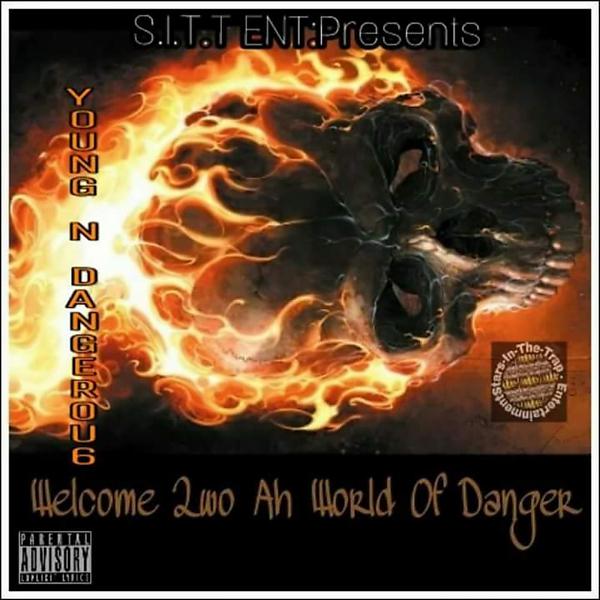 Постер альбома WELCOME 2W0 AH WORLD OF DANGER