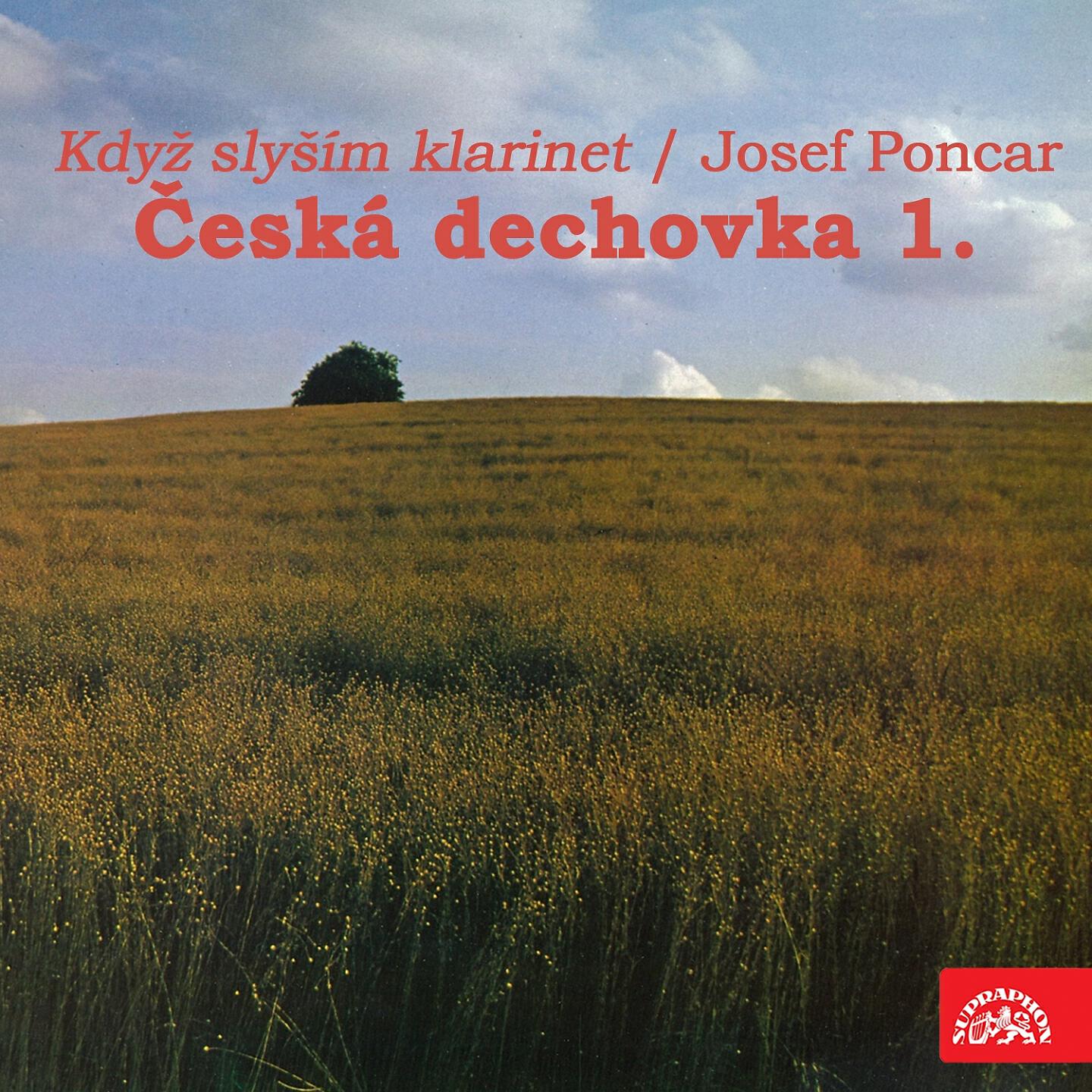 Miroslav Šuba - Až Já Budu Rukovat