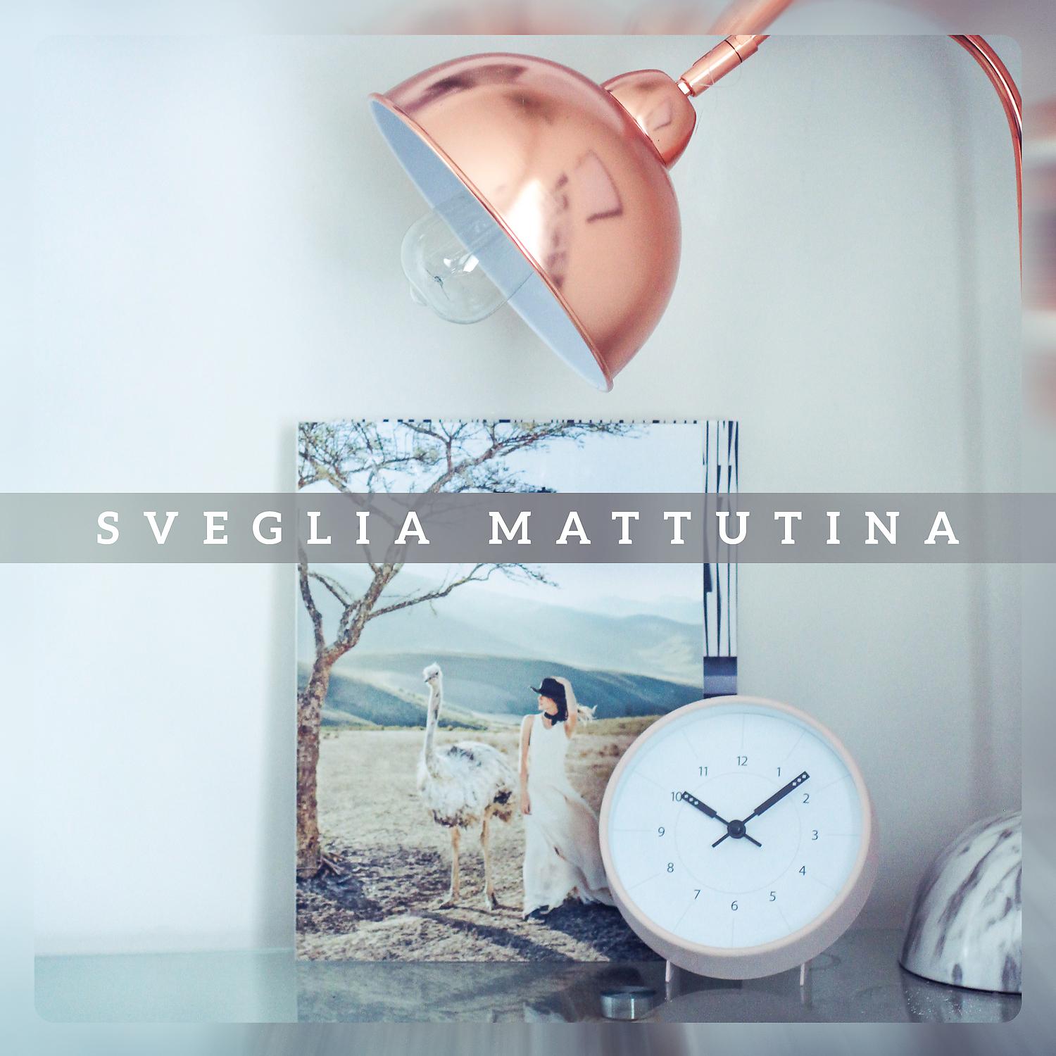 Постер альбома Sveglia mattutina: Musica naturale rilassante, Svegliarsi fresco, Softly risveglio