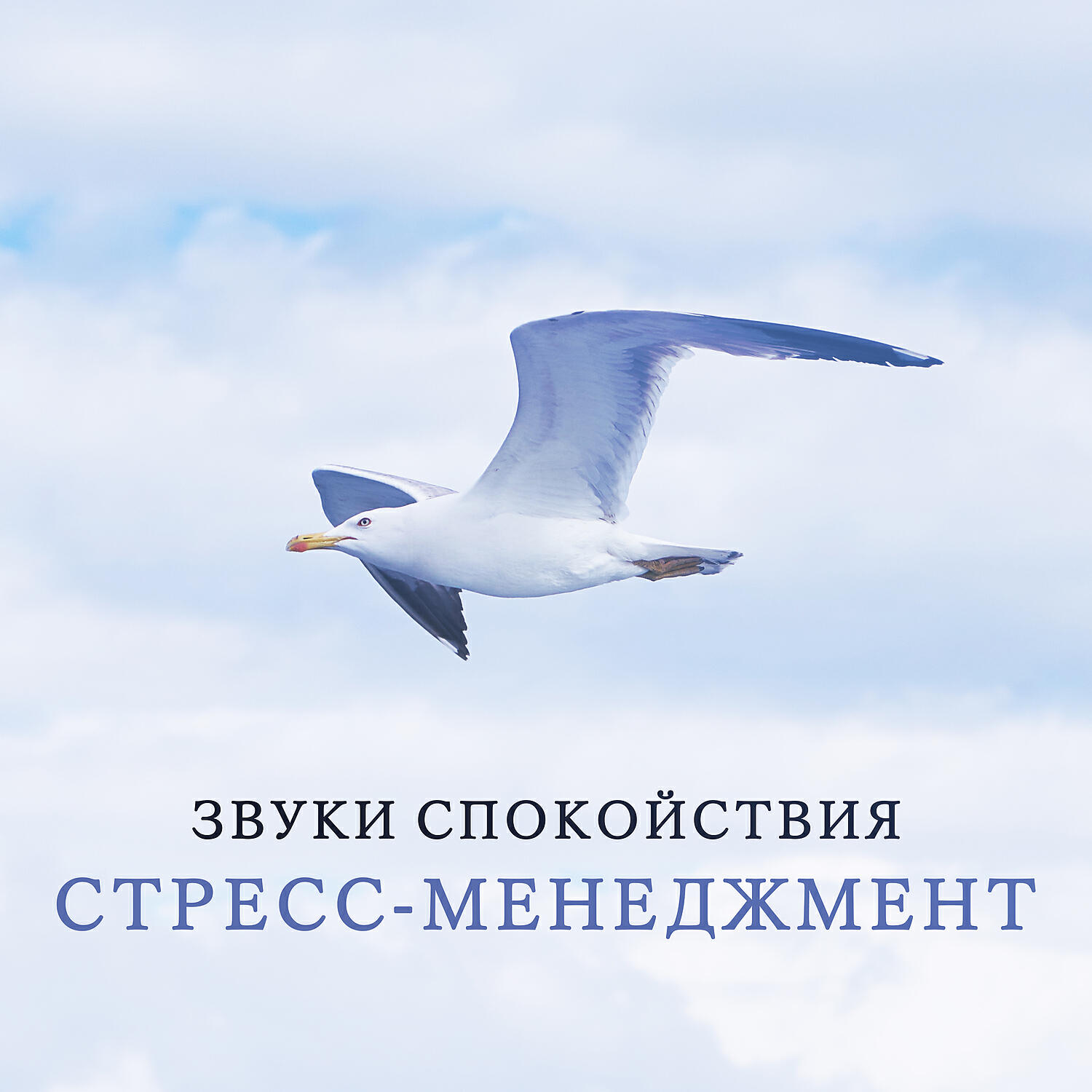 Постер альбома Звуки спокойствия: Стресс-менеджмент, Звуки природы, Волн, Экзотических инструментов, Музыка для сна, Глубокий релакс