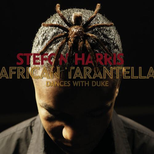 Stefon Harris - From The Gardner Meditations: Dancing Enigma