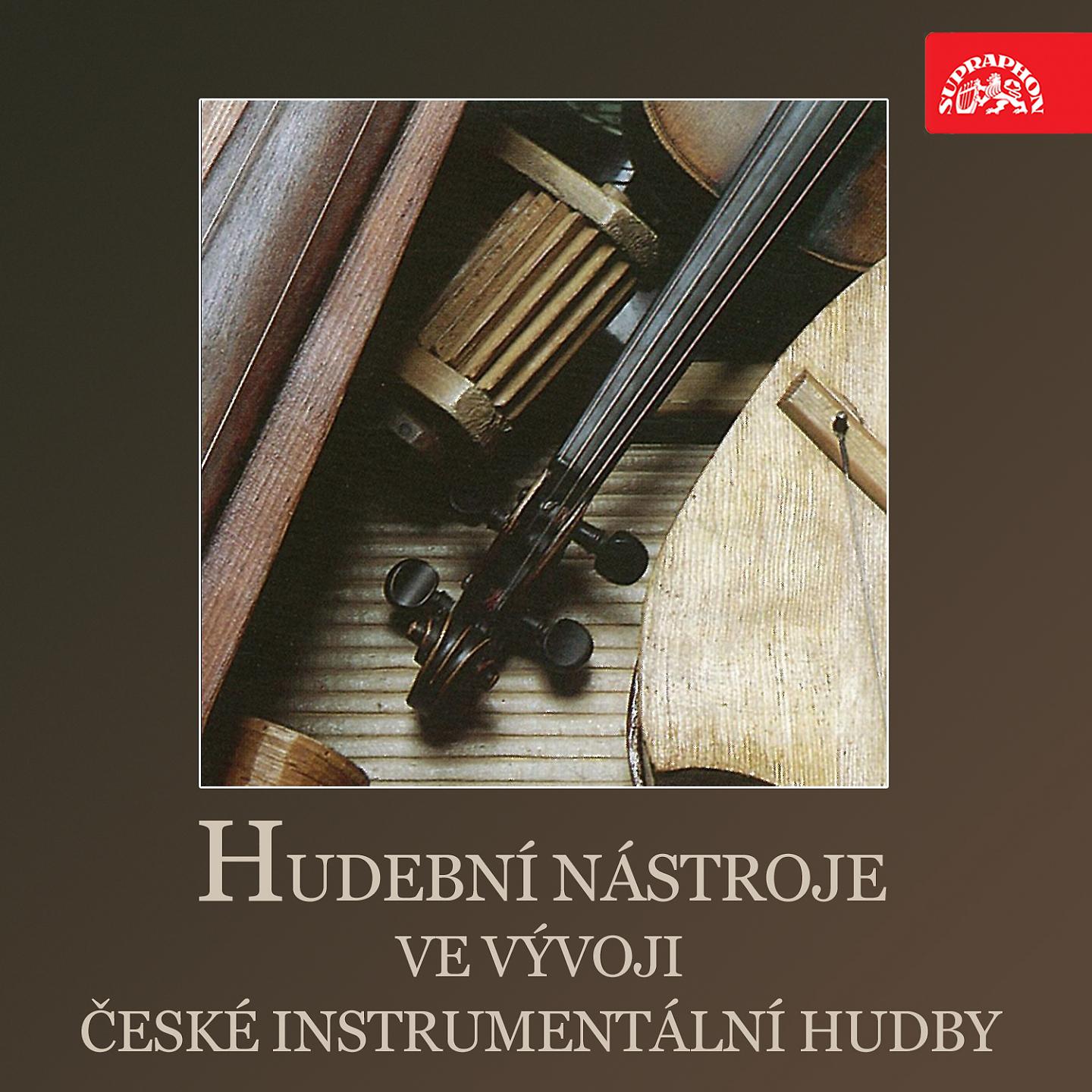 Постер альбома Hudební Nástroje Ve Vývoji České Instrumentální Hudby