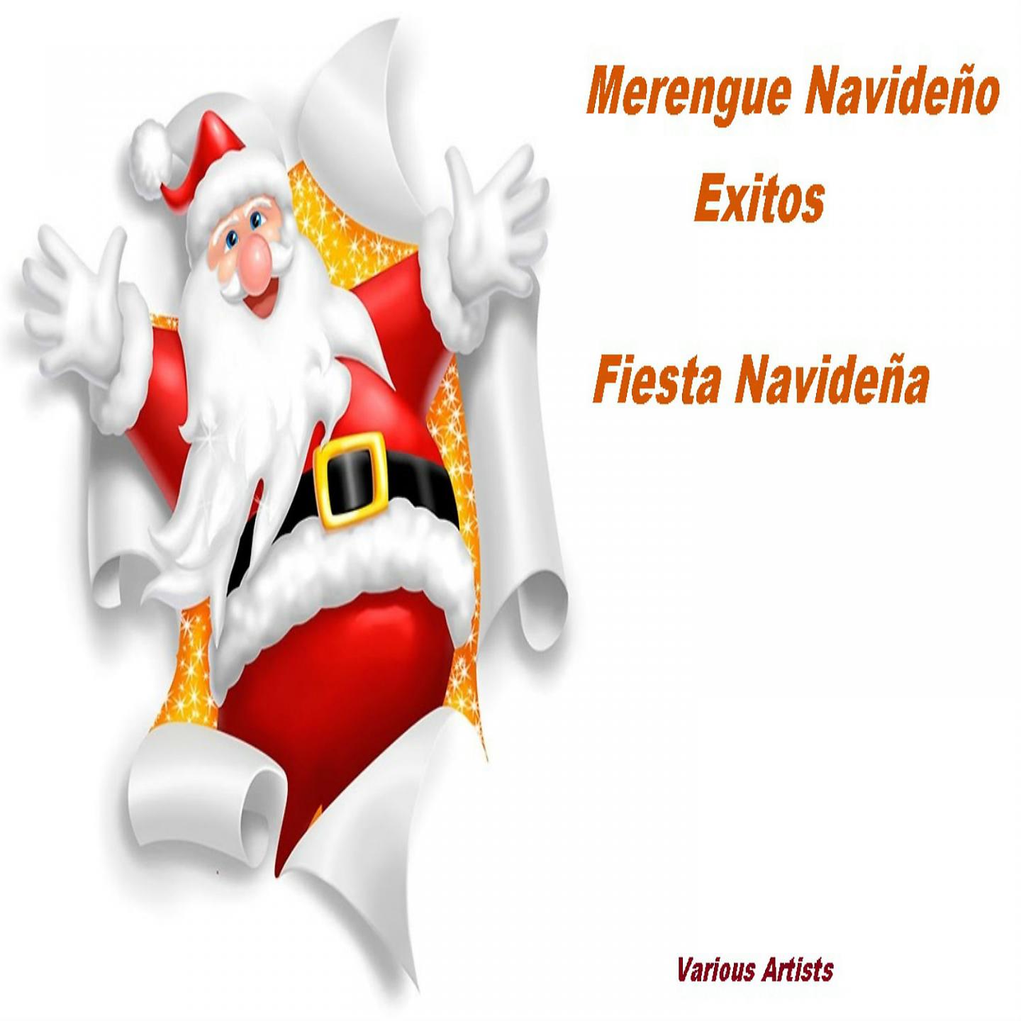 Постер альбома Merengue Navideño Éxitos fiesta navideña