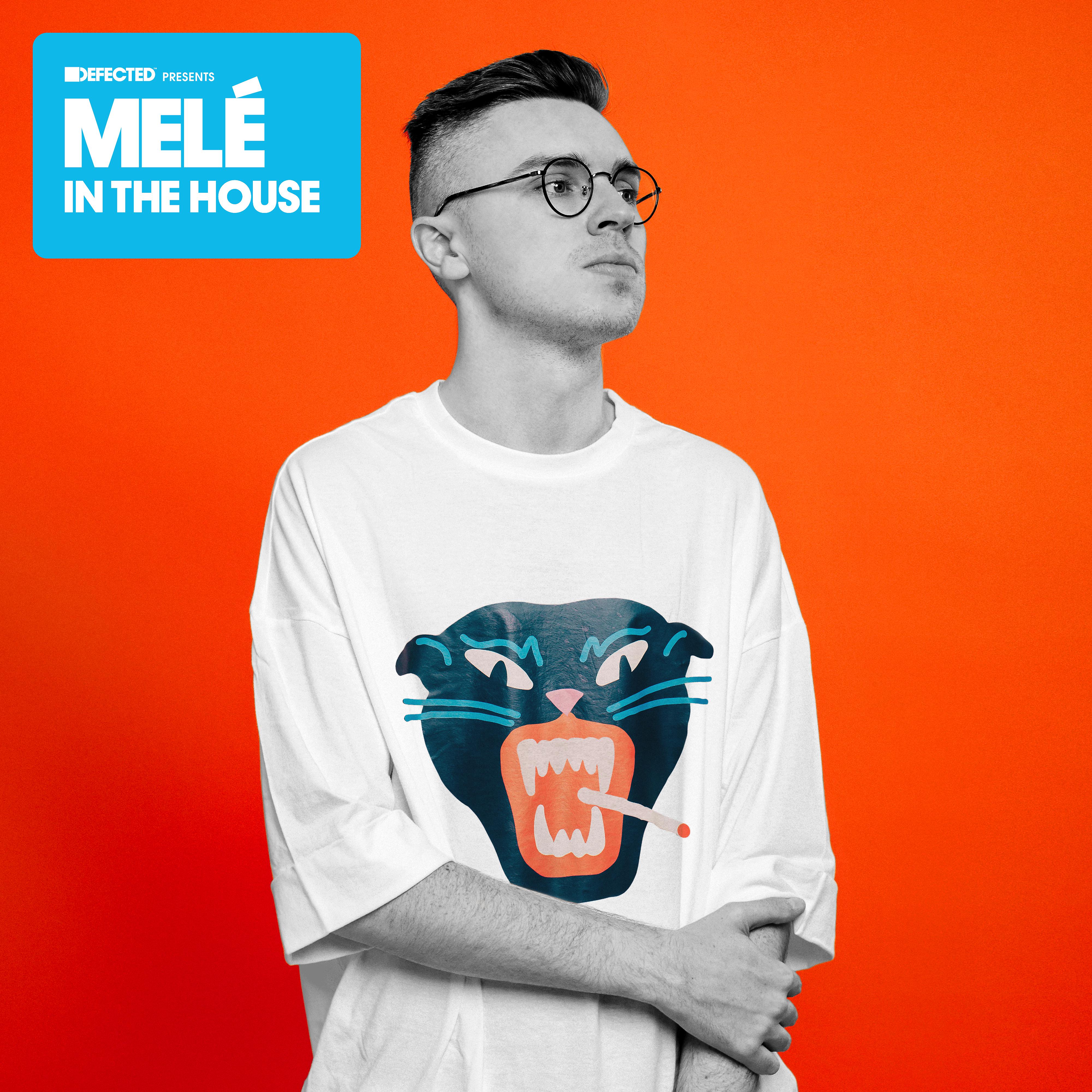 Постер альбома Defected Presents Melé In The House (Mixed)