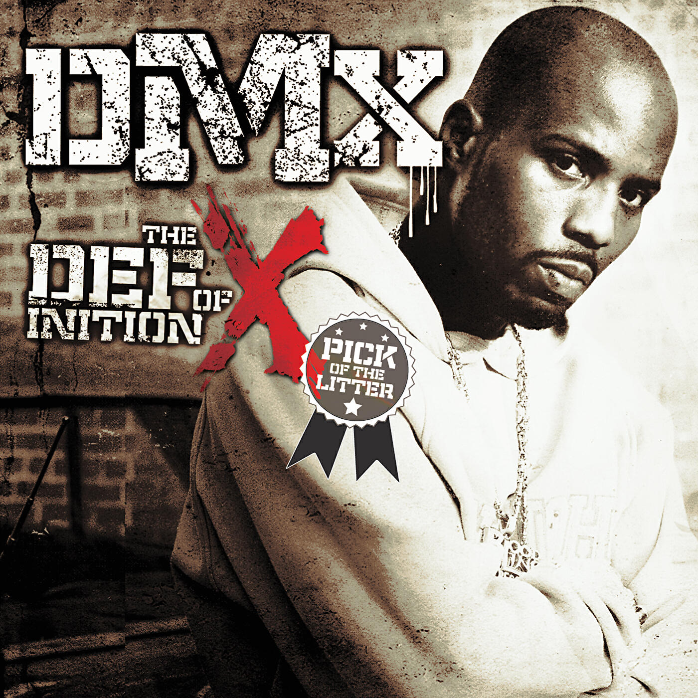 DMX - What These Bitches Want