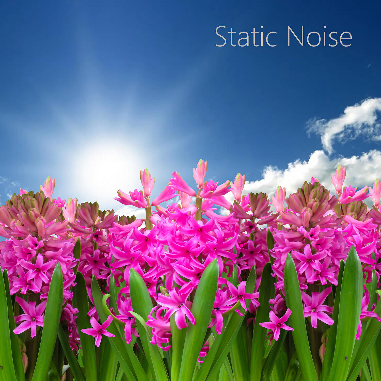 Static White Noise Sounds - Static Pink Noise for Sleep (Looped, No Fade) feat. Healing White Noise