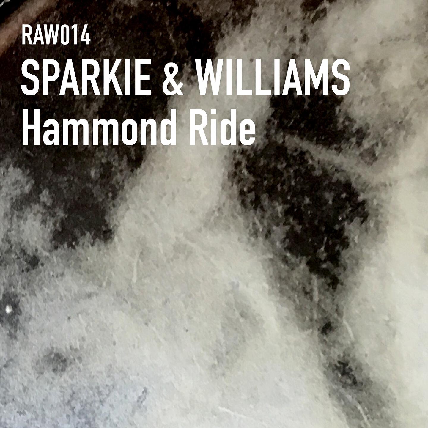 Sparkie & Williams - Hammond Ride (Raw Artistic Soul Dub)