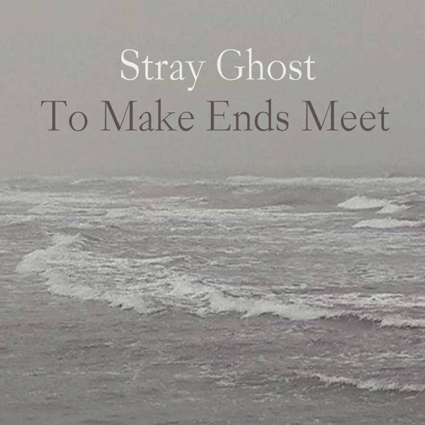 Stray Ghost - For Nima