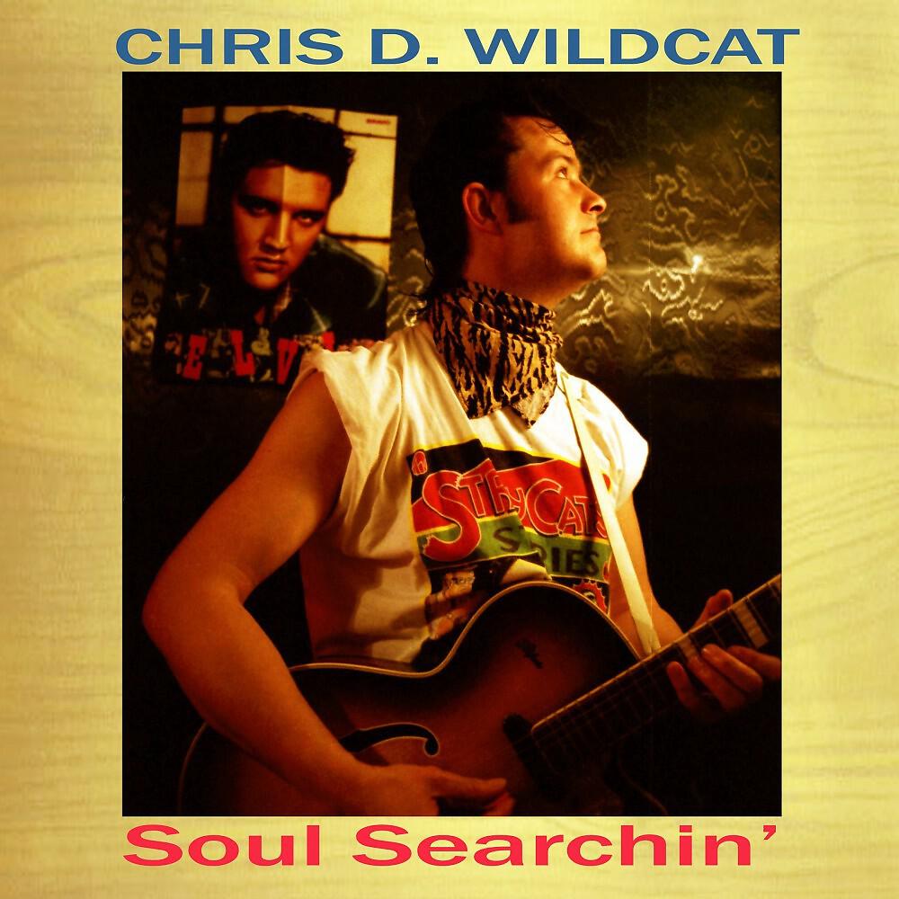 Chris D. Wildcat - Wise Up