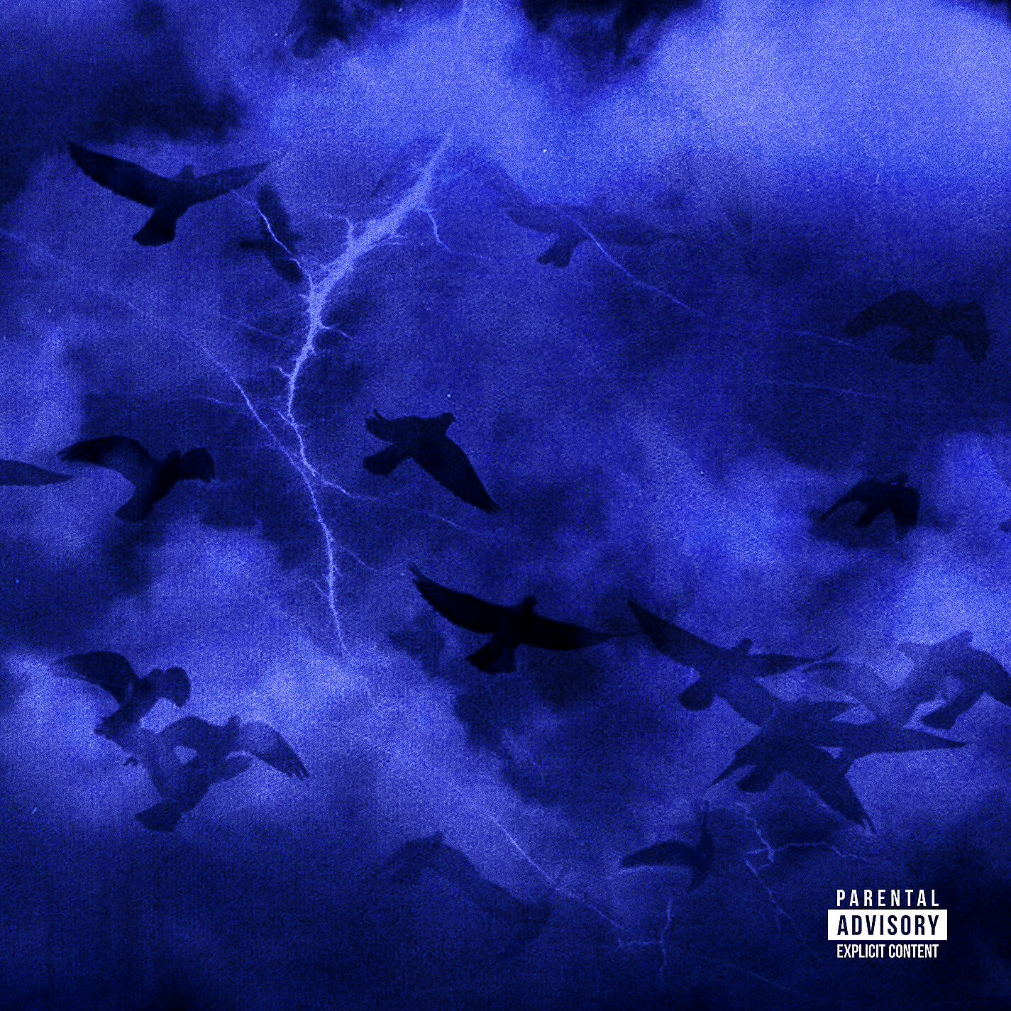 Lovele$$ - Chirp