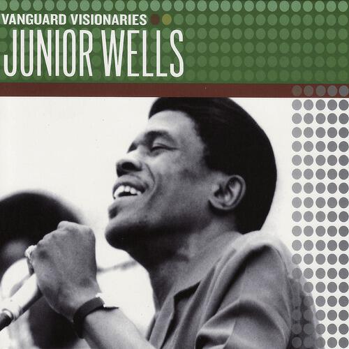 Junior Wells - Shake It Baby
