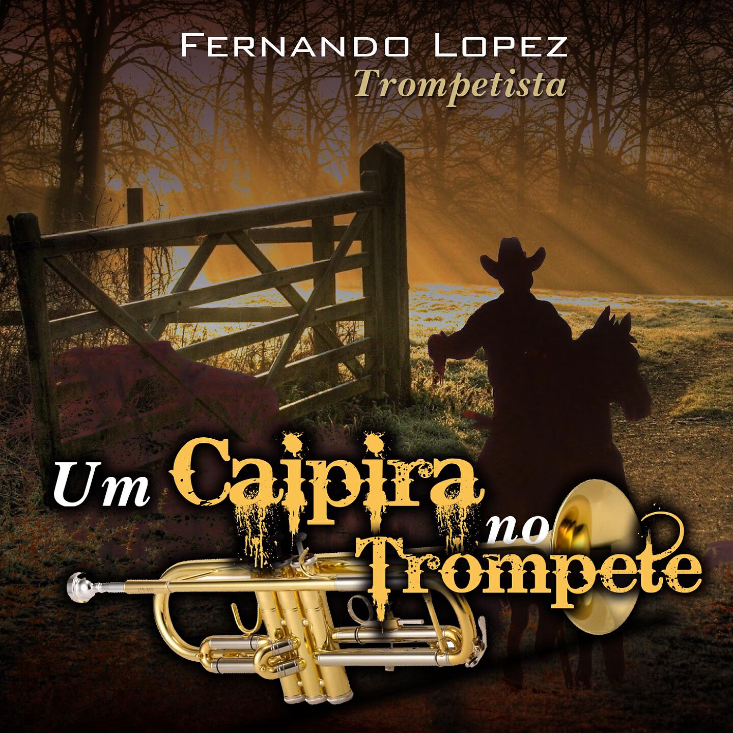 Fernando Lopez - Fogão de Lenha