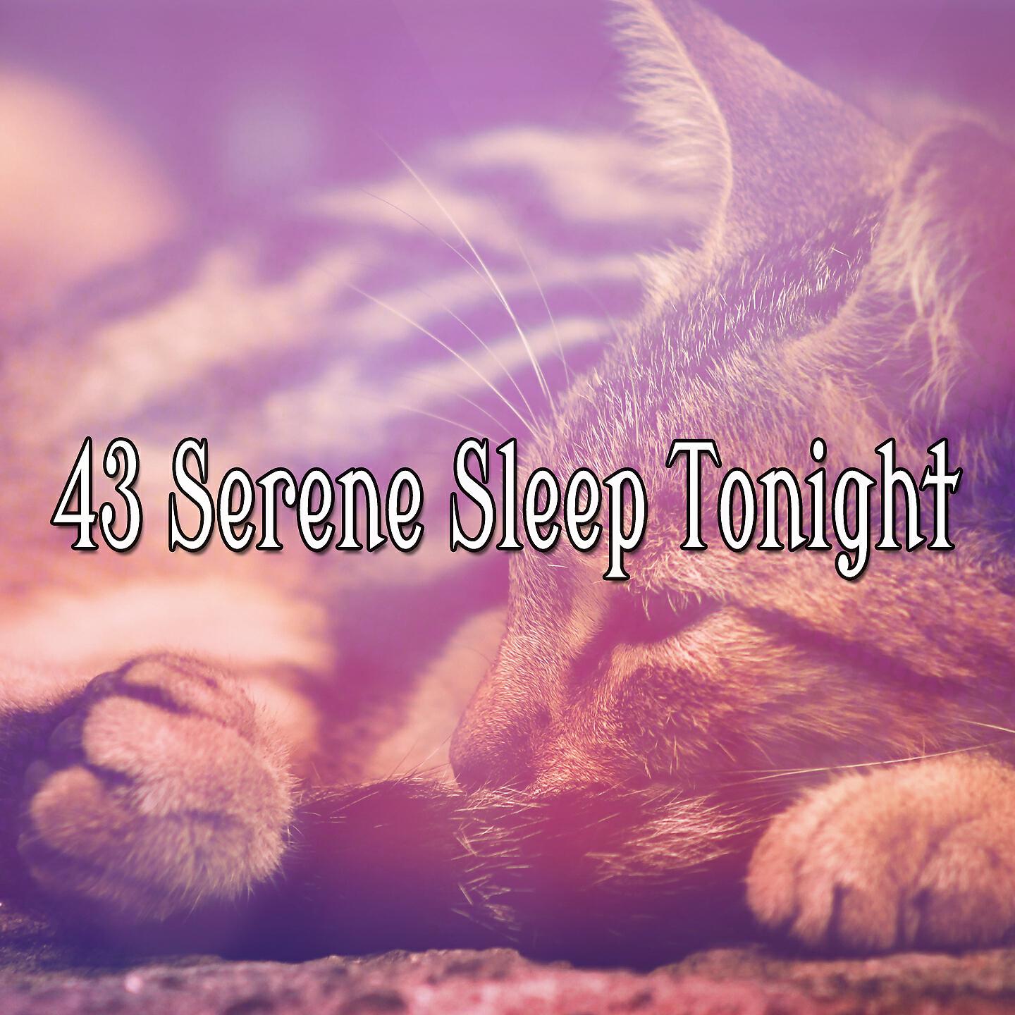 Relaxing With Sounds of Nature and Spa Music Natural White Noise Sound Therapy - Peaceful Spirit