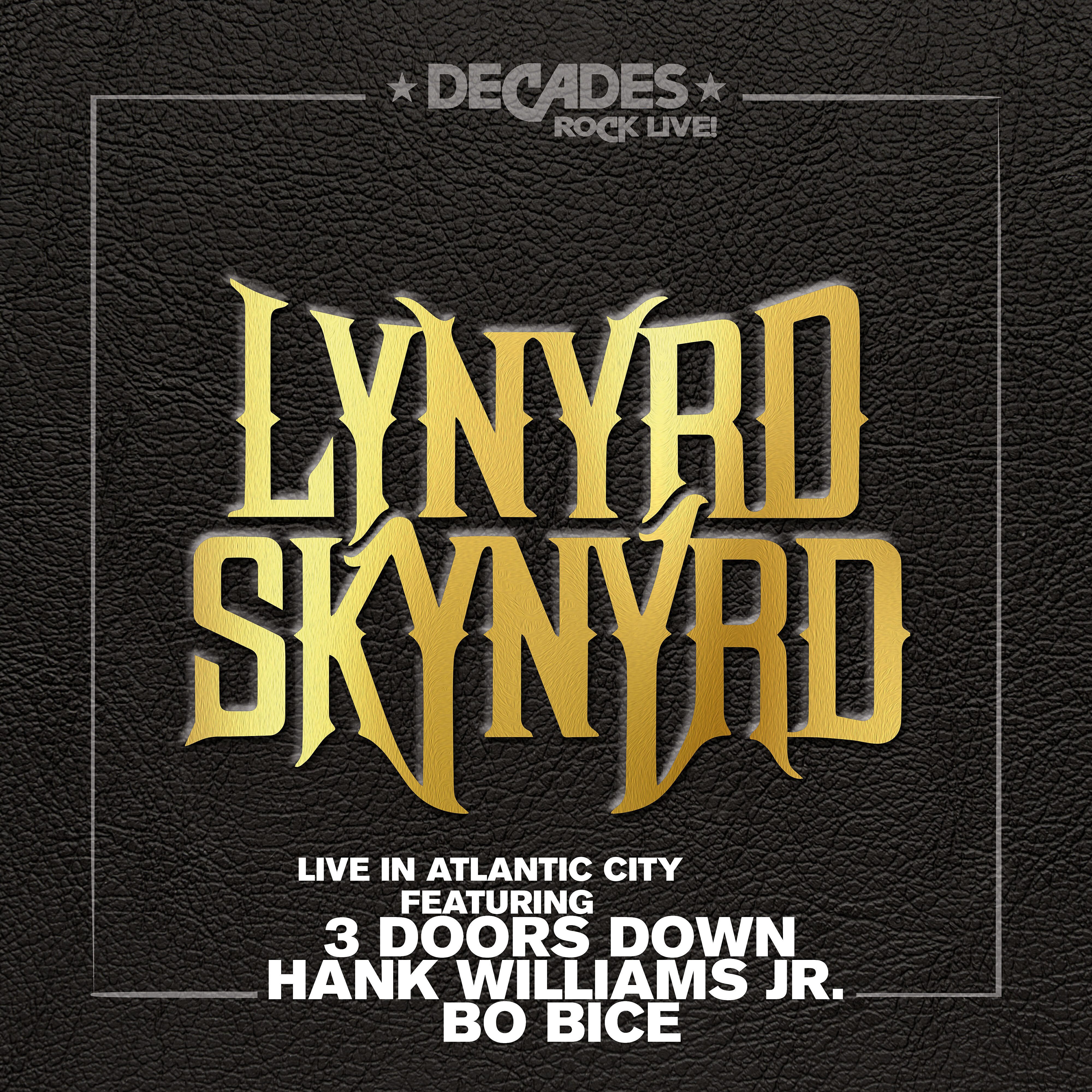 Lynyrd Skynyrd - Down South Jukin'