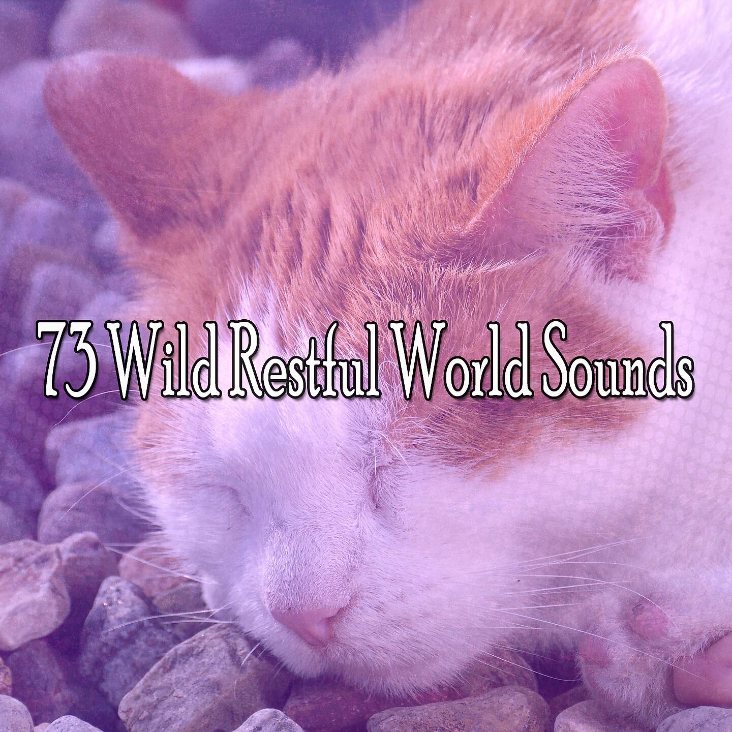Natural White Noise For Babies - Heavy Downpour