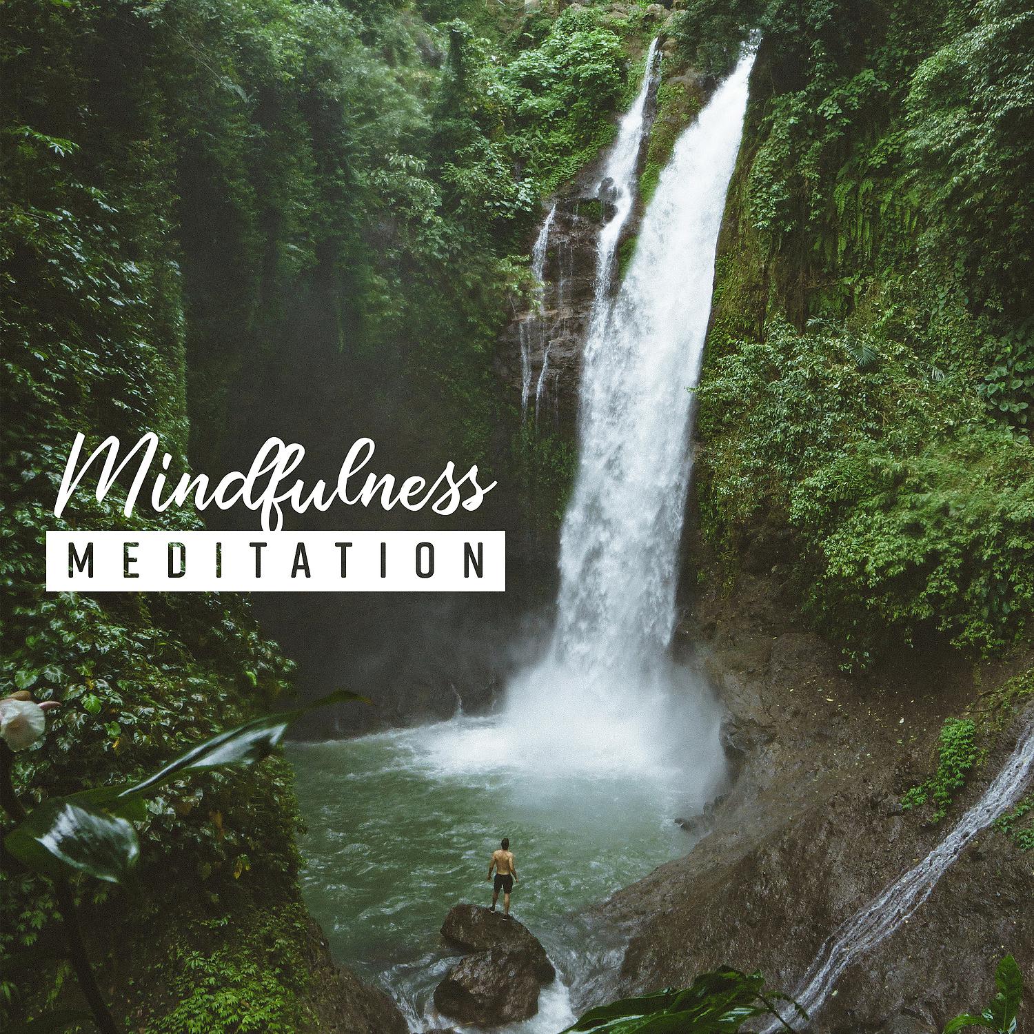 Постер альбома Mindfulness Meditation: Buddhist & Transcendental Meditation, Rebirth, Healing & Calmness Sounds, Spa, Deep Relaxation
