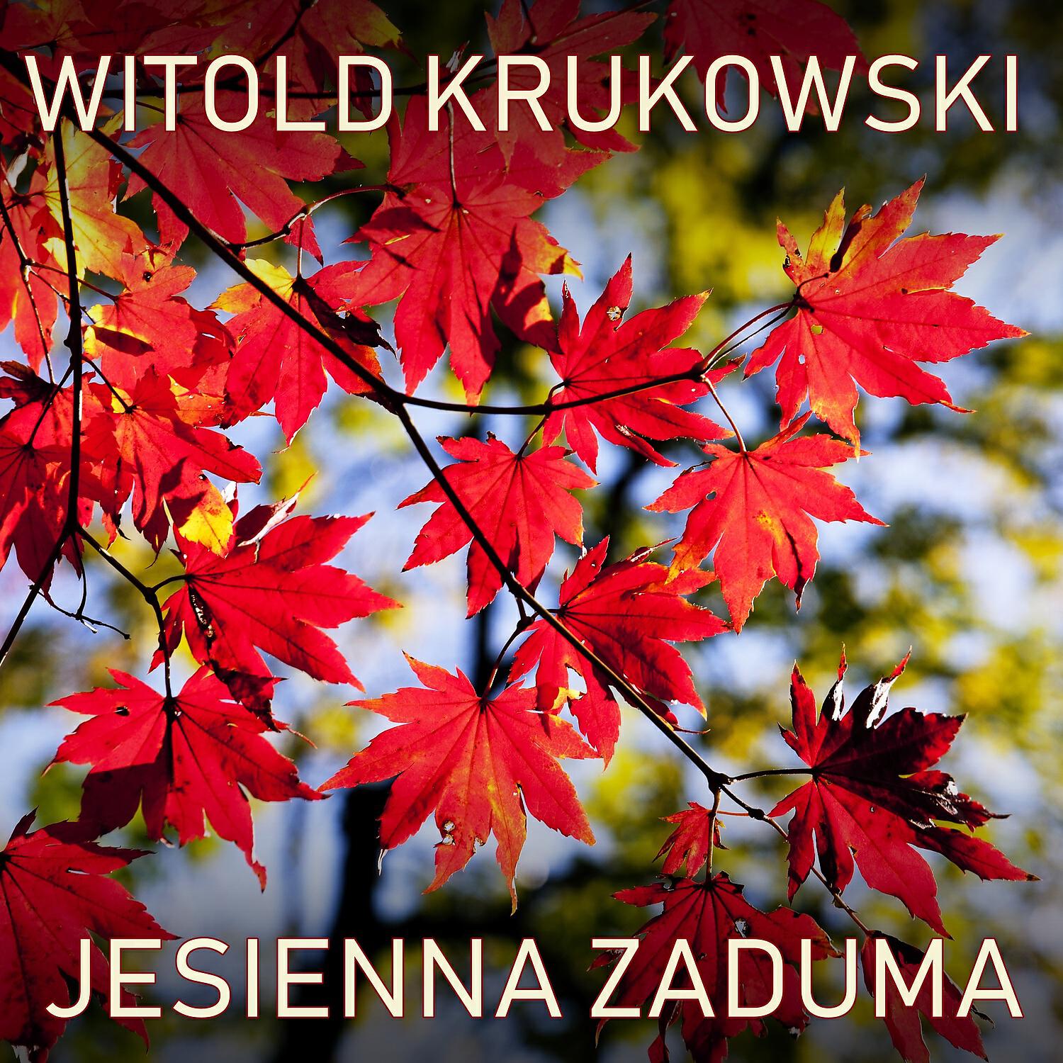 Witold Krukowski - Jesienna Zaduma (Instrumental)