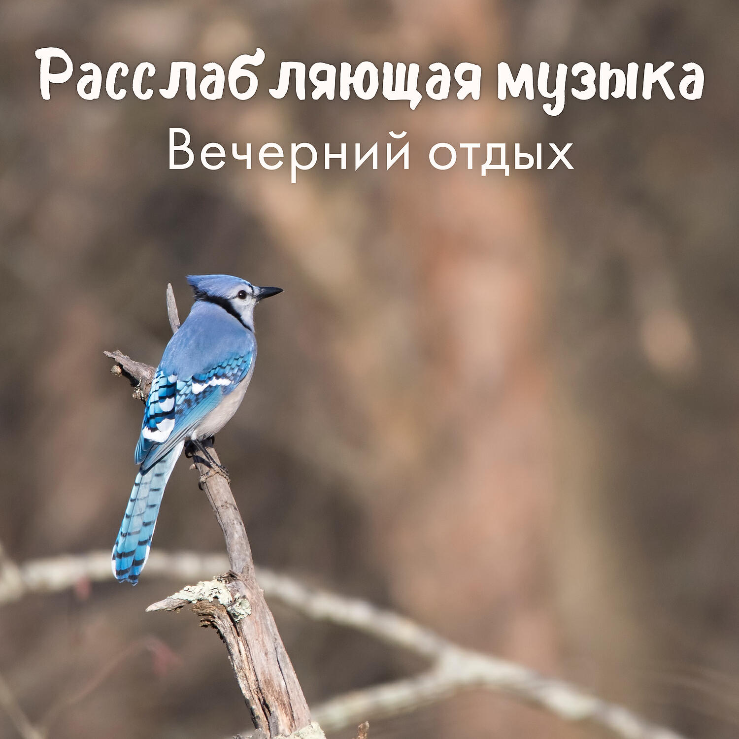 Motivation Songs Academy - Африканские барабаны