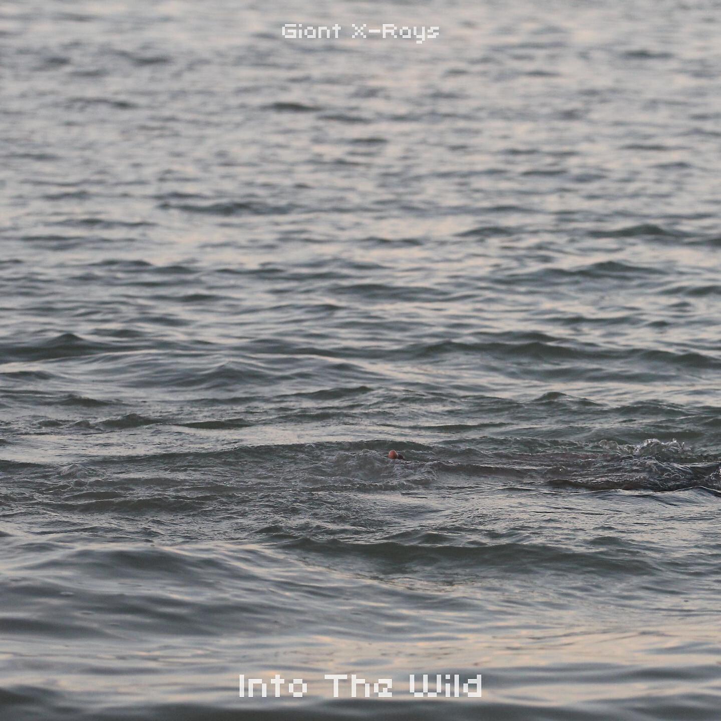 Giant X-Rays - Into The Wild