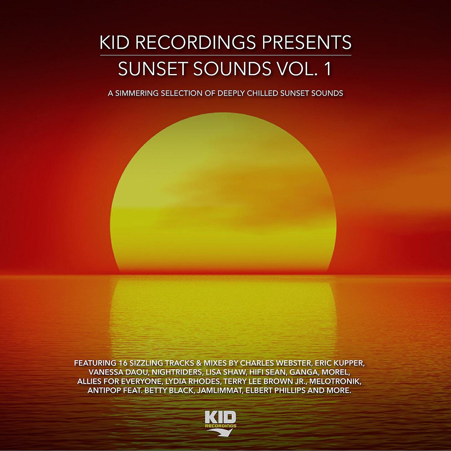 NightRiders - You Said (Miguel Picasso & Jamlimmat Remix)