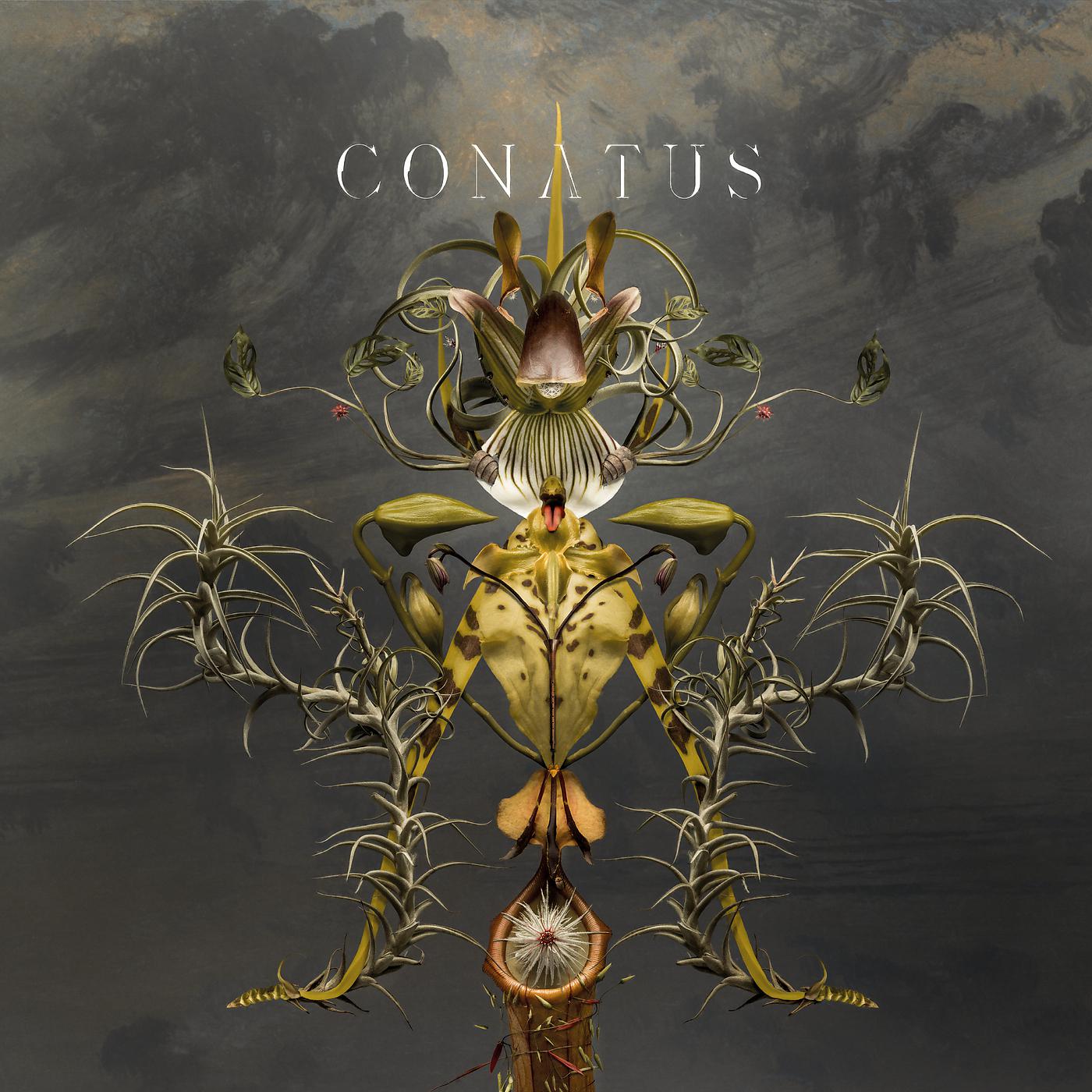 Постер альбома Conatus