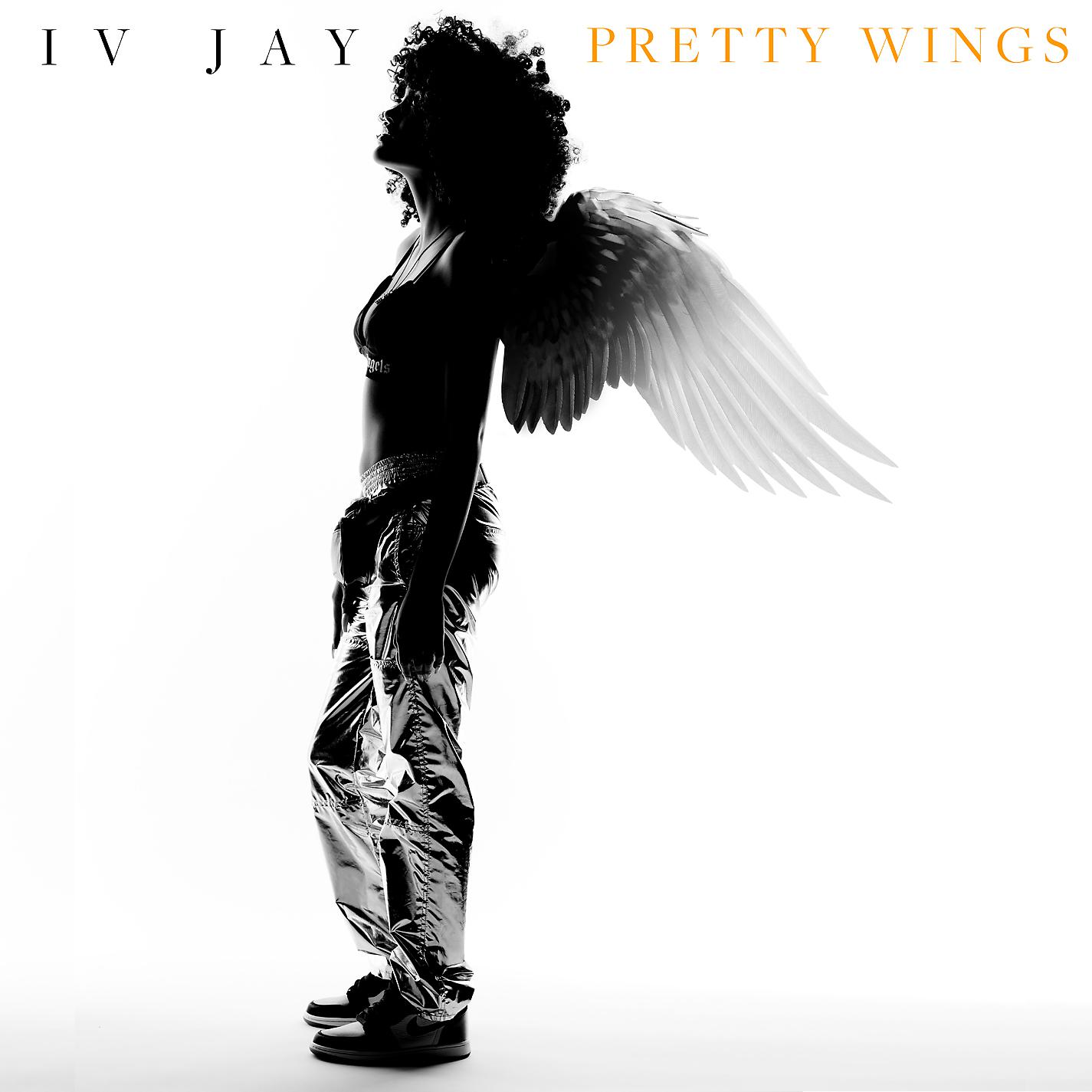 Постер альбома Pretty Wings