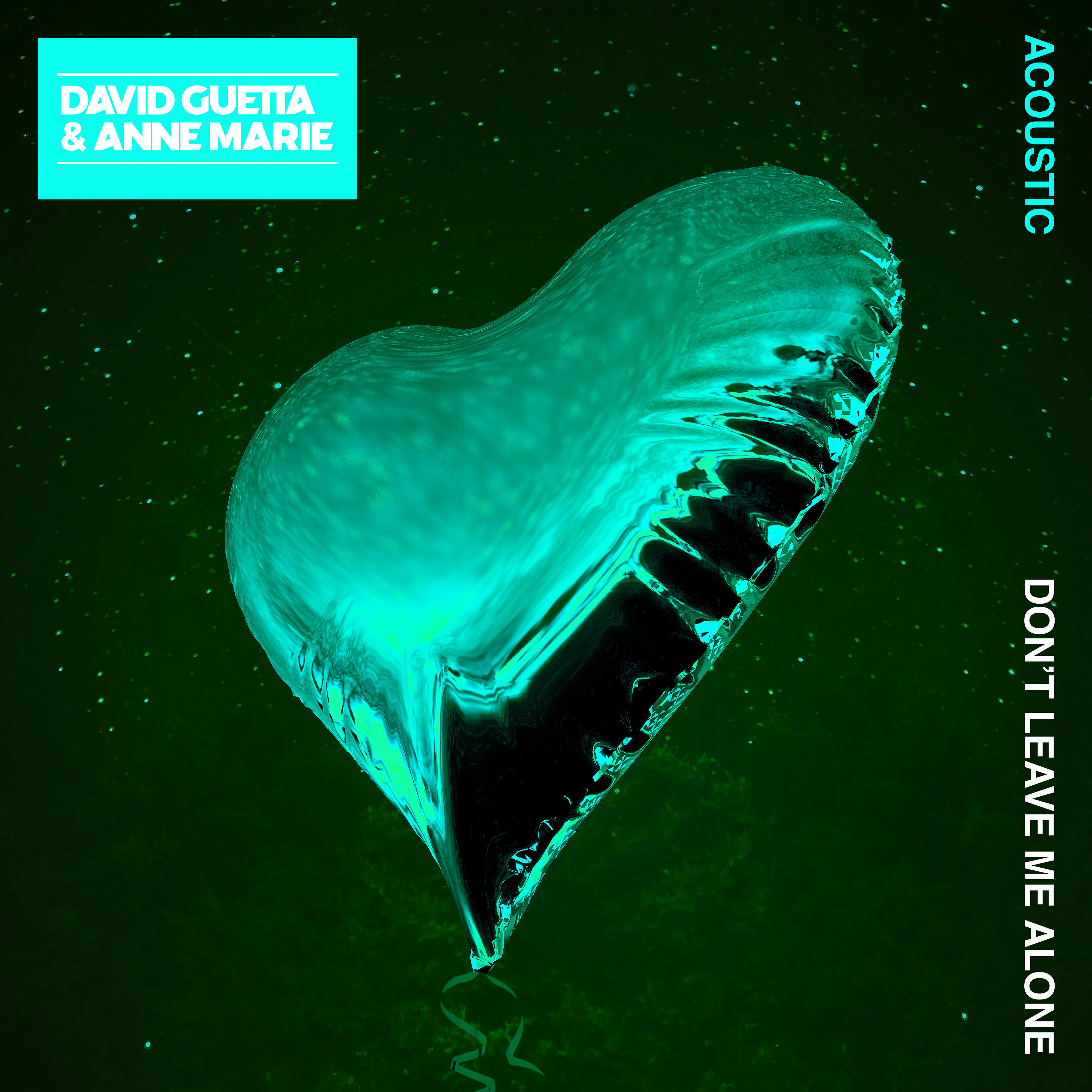 David Guetta - Don't Leave Me Alone (feat. Anne-Marie) [Acoustic]