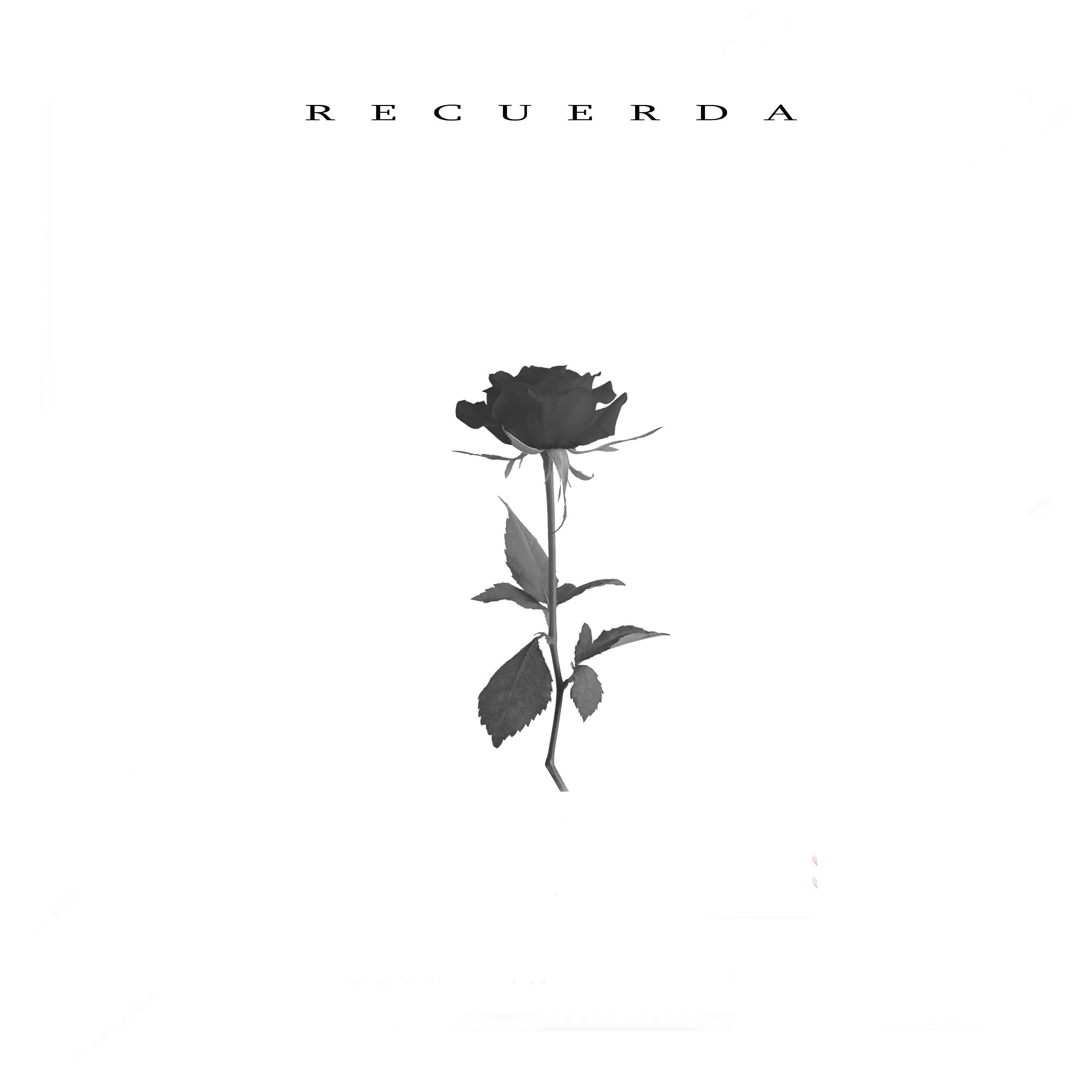 Постер альбома Recuerda