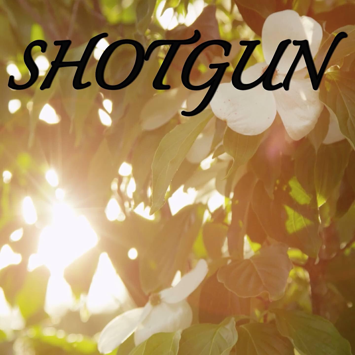 2018 Dj Moodz - Shotgun / Tribute to George Ezra