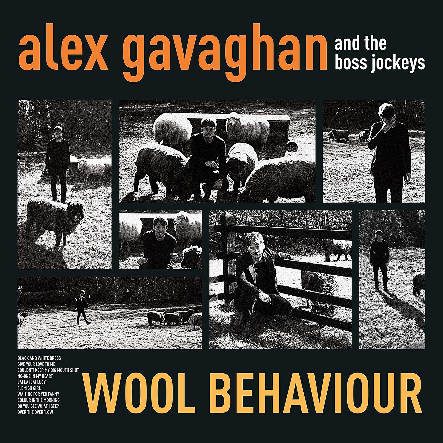 Alex Gavaghan - Flemish Girl