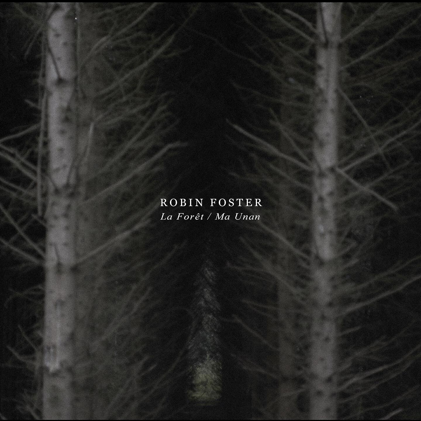 Robin Foster - L'aber
