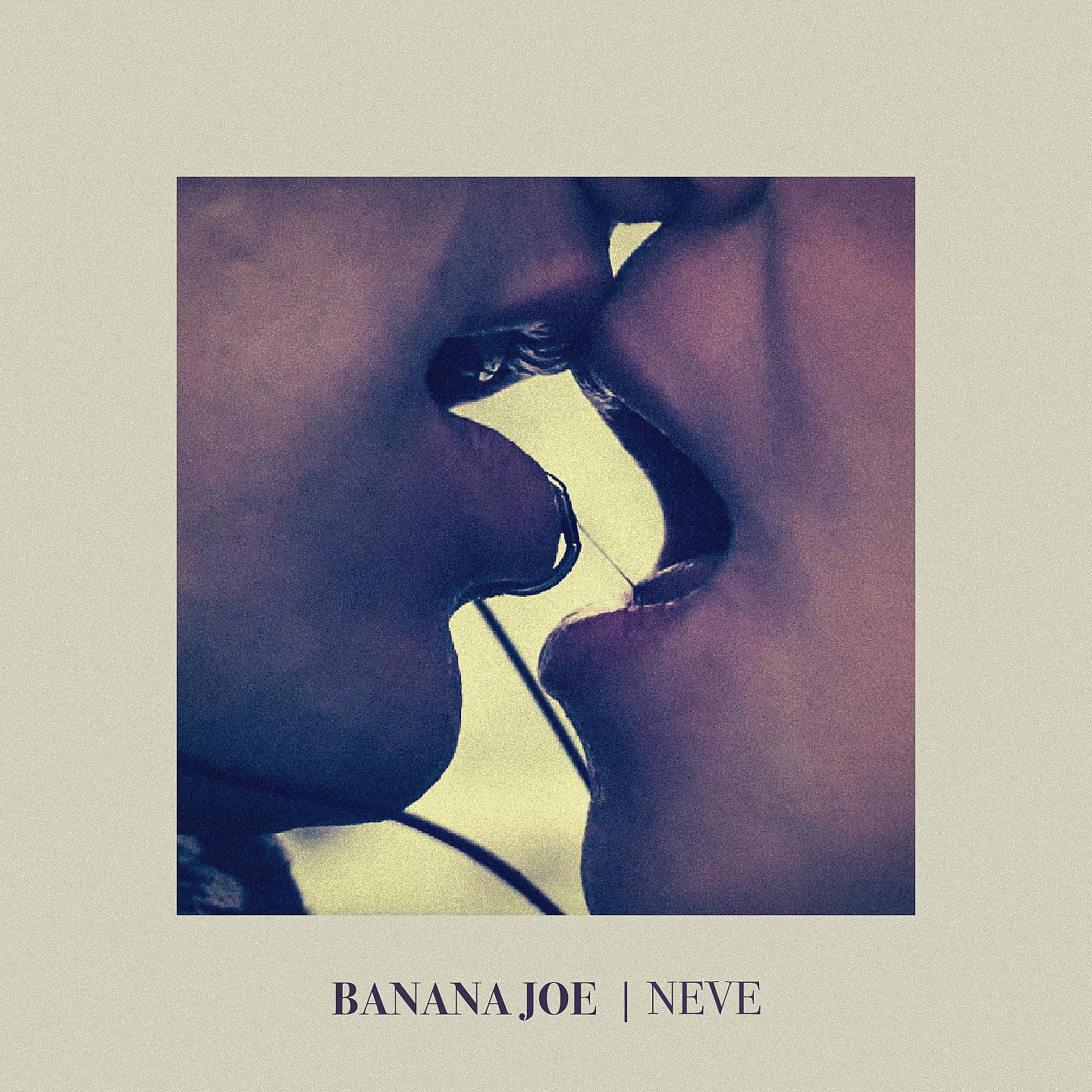 Постер альбома Neve