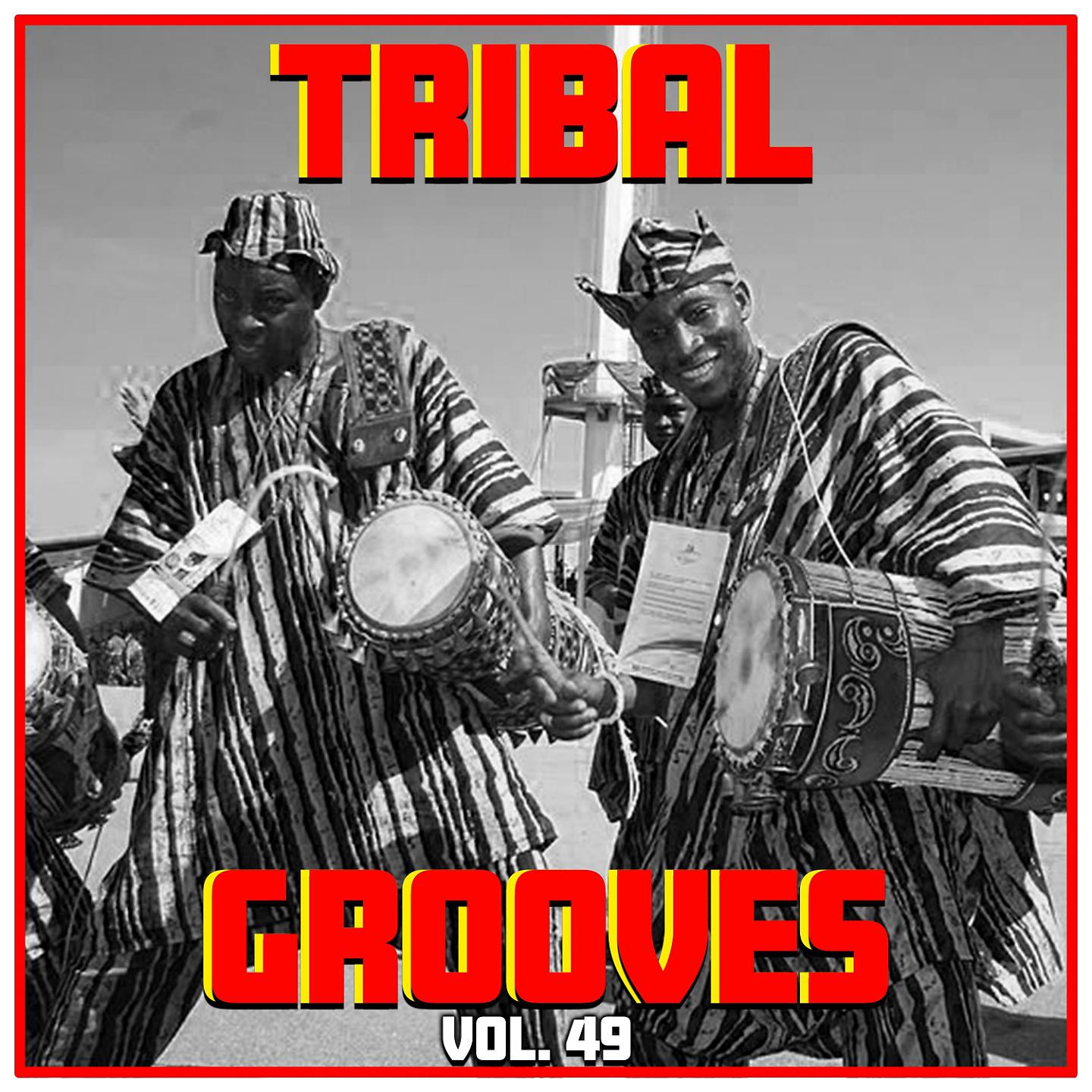 Постер альбома Tribal Grooves Vol. 49