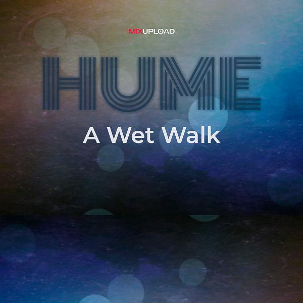 Постер альбома A Wet Walk