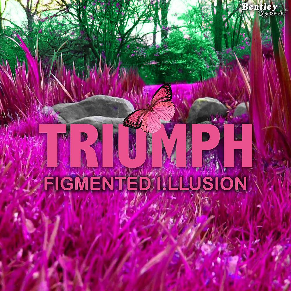 Figmented I.Llusion - Triumph