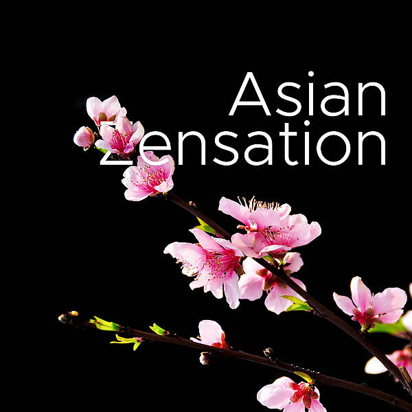 Asian Zen Spa Music Meditation - Zen Water Sounds