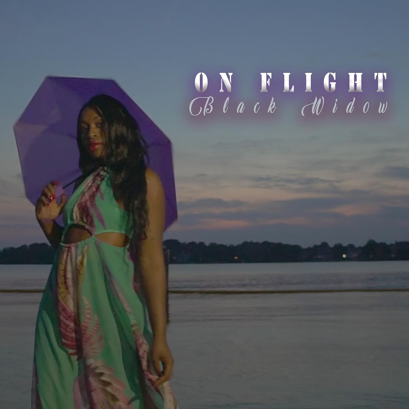Постер альбома On Flight