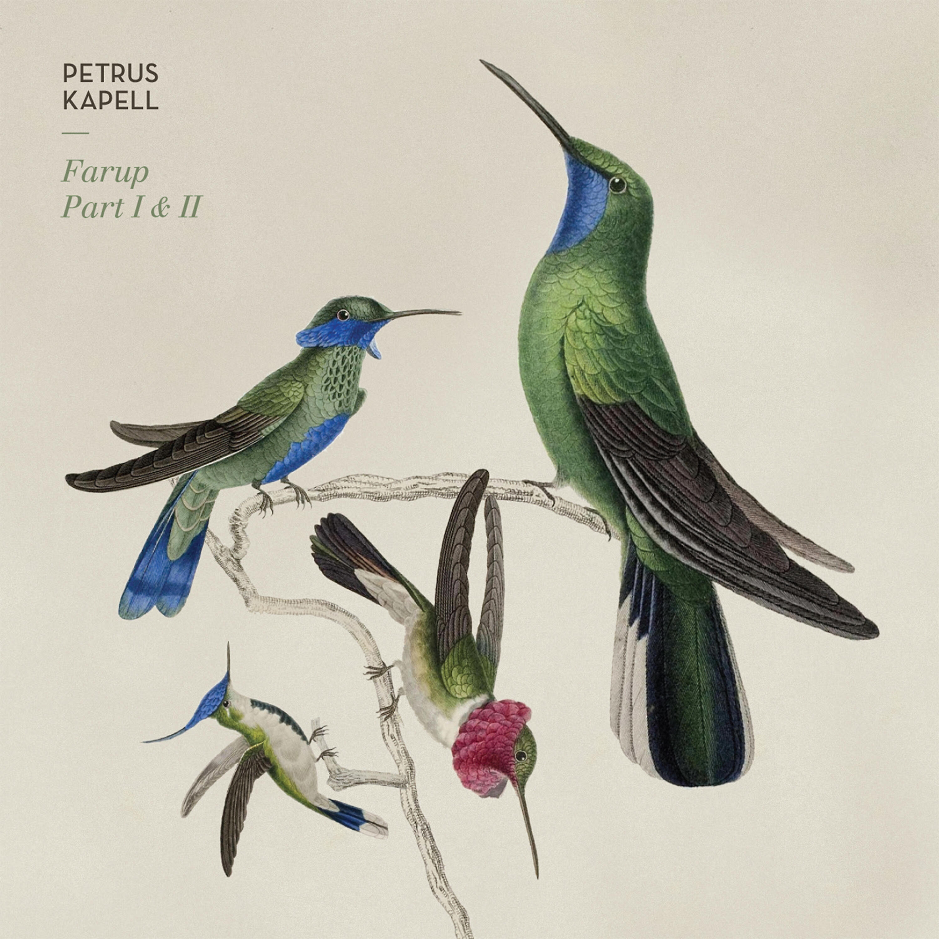 Petrus Kapell - Vessels